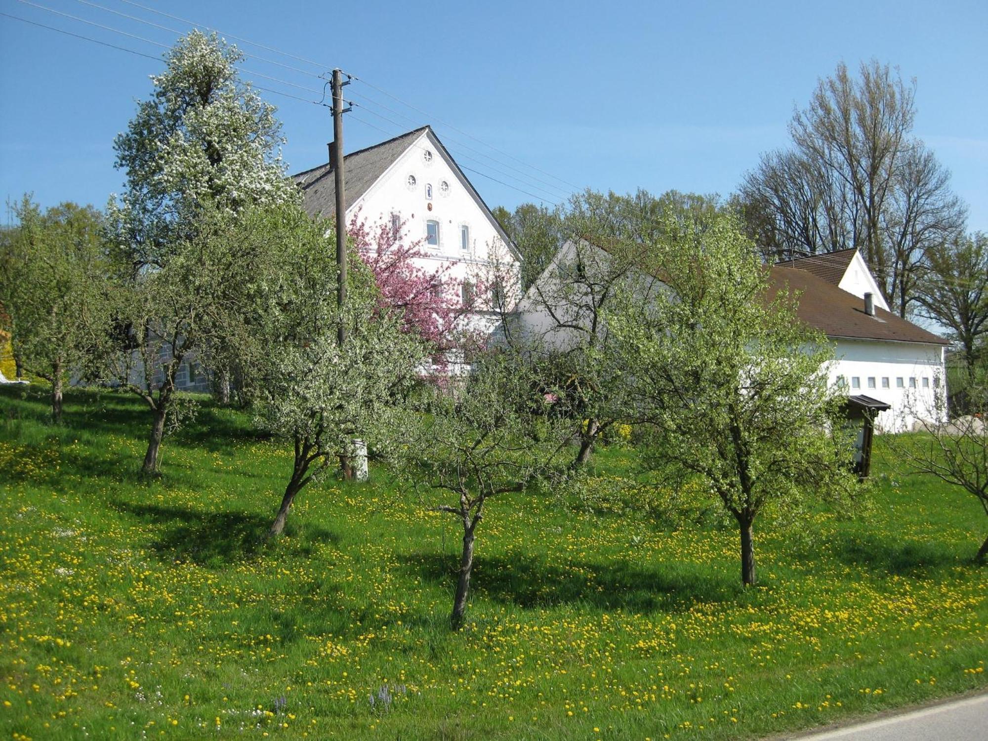 Comfortable Apartments In Rotthalm Nster Rotthalmuenster Экстерьер фото