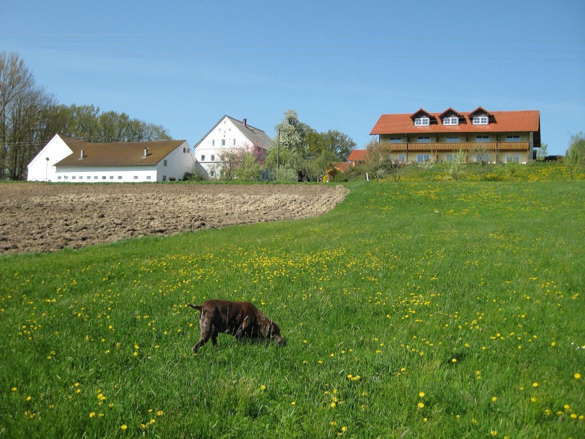Comfortable Apartments In Rotthalm Nster Rotthalmuenster Экстерьер фото