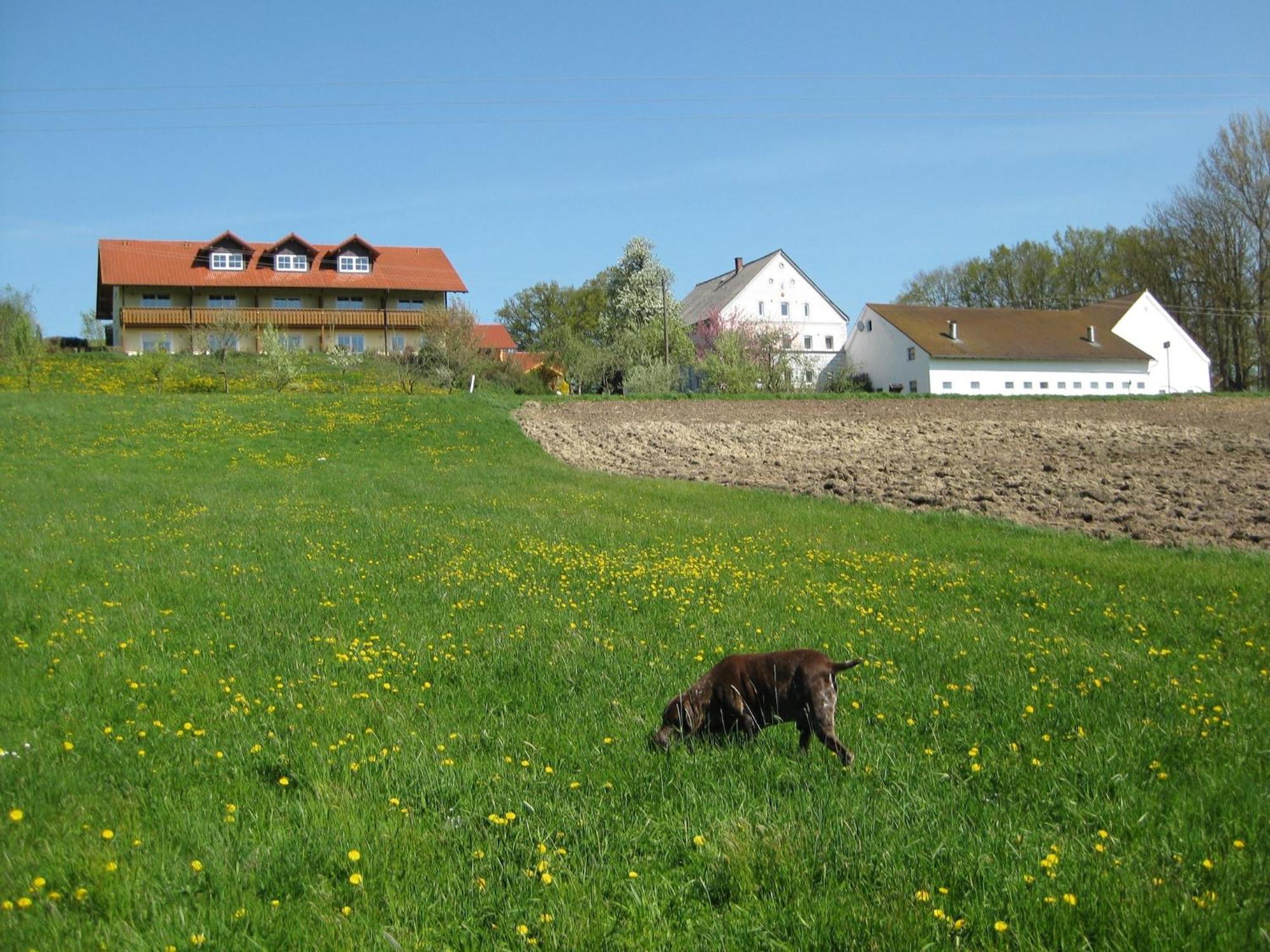 Comfortable Apartments In Rotthalm Nster Rotthalmuenster Экстерьер фото